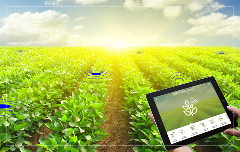 pertanian berbasis smartphone