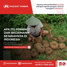 Apa-itu-porang-dan-sejarahnya-di-Indonesia