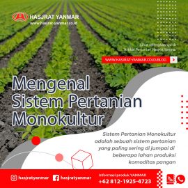 mengenal-sistem pertanian monokultur