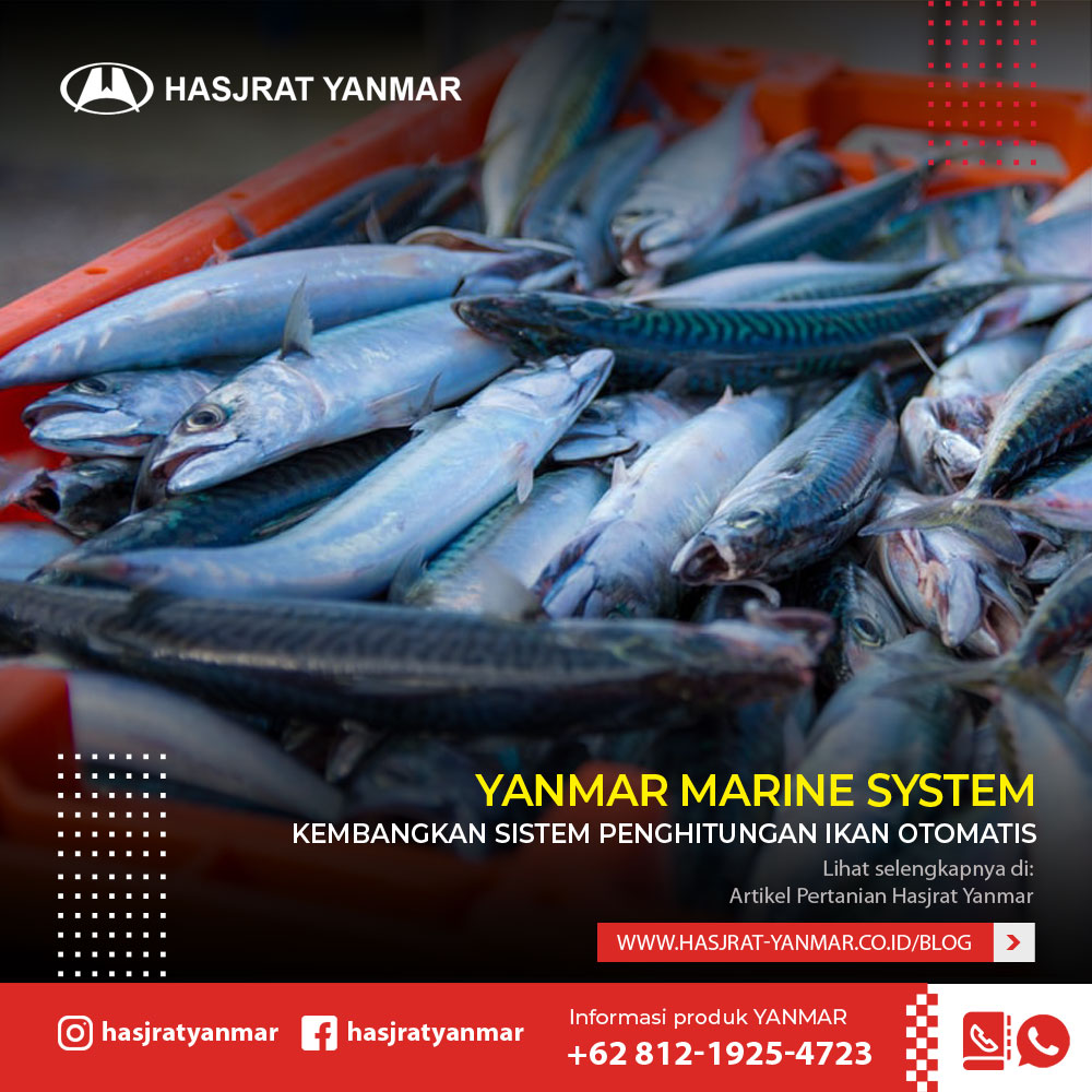 Yanmar-Marine-System-Kembangkan-Sistem-Penghitungan-Ikan-Otomatis