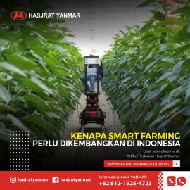 Kenapa-Smart-Farming-Perlu-Segera-Dikembangkan-di-Indonesia