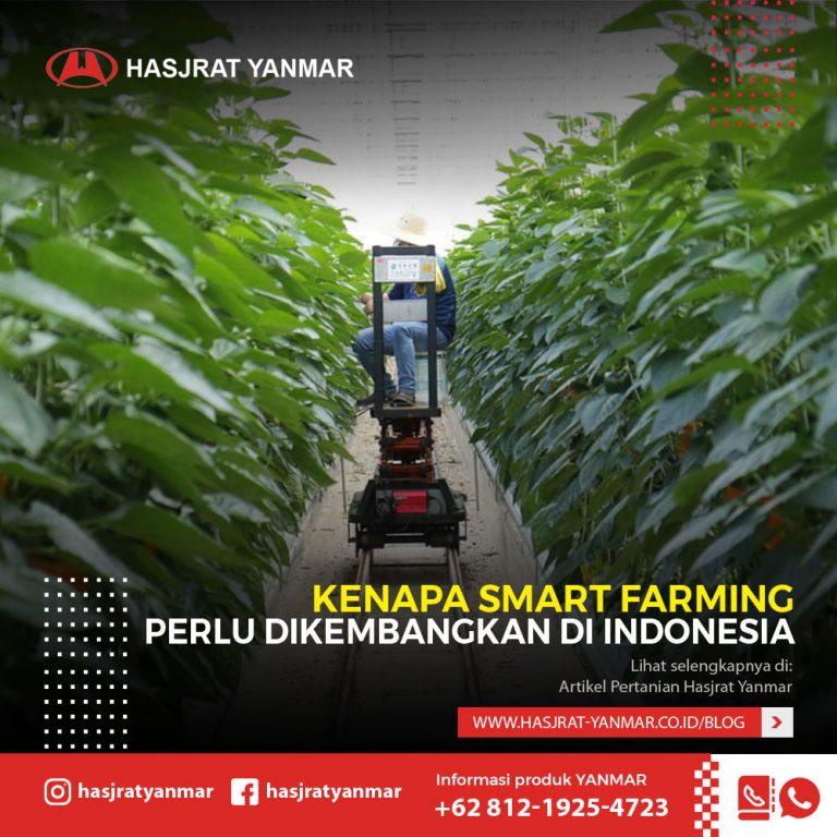 Kenapa Smart Farming Perlu Segera Dikembangkan Di Indonesia - Hasjrat ...