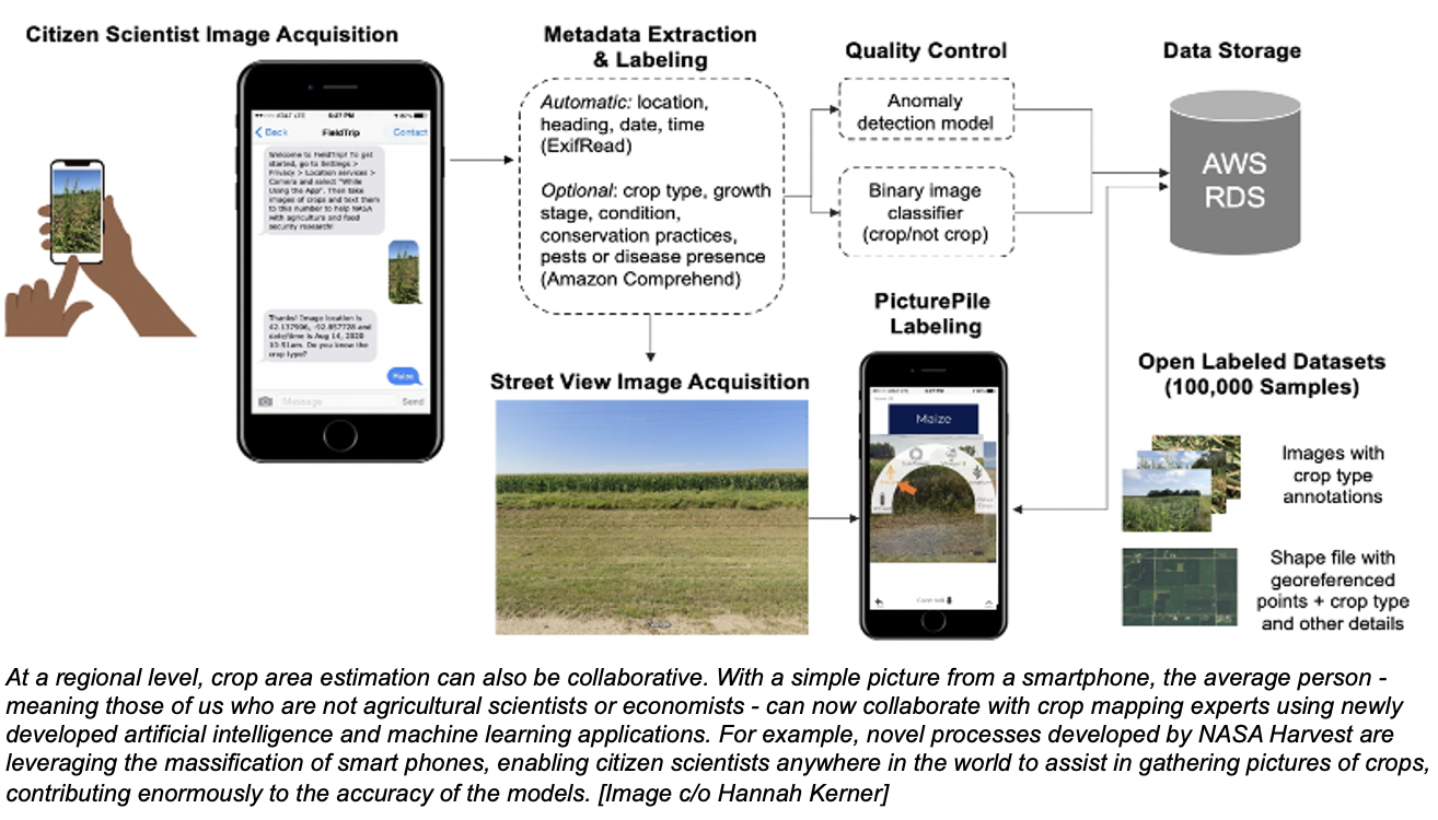 Dari Luar Angkasa ke Pertanian Bagaimana Teknologi Pengamatan Bumi Merevolusi Sistem Pangan Pertanian Global