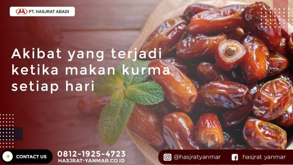 Makan Kurma Setiap Hari Ternyata Punya Dampak Baik Bagi Tubuh Hasjrat Yanmar