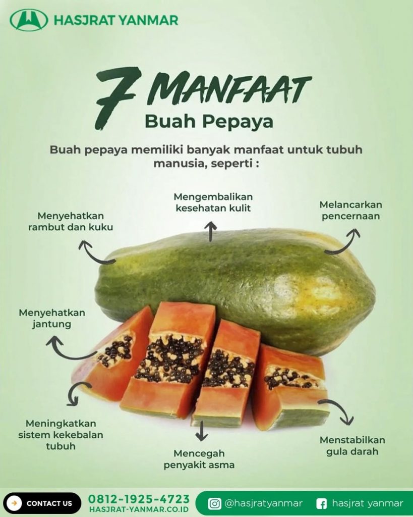 Ini Dia Manfaat Mengonsumsi Buah Pepaya Bagi Tubuh Hasjrat Yanmar